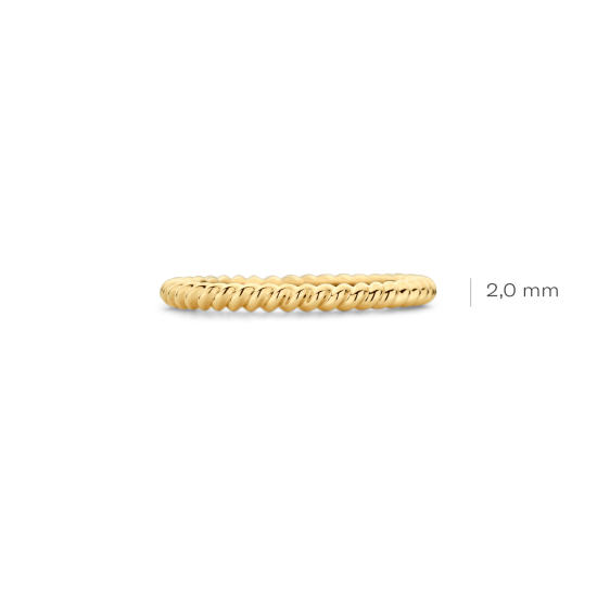 BLUSH 14k GG RING 2.5mm GETORST - 1006510