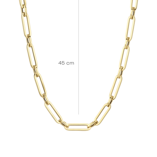 BLUSH 14k GEELGOUDEN COLLIER OVALE ELEMENTEN 12x3mm 45cm - 1006570