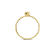 BLUSH 14k GG DRAADRING MET KNOOP - 1006575