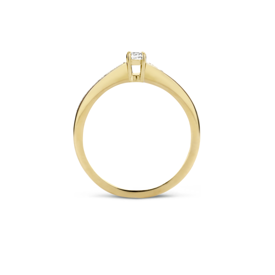 14 KRT BICOGD RING ZIRK OOK IN SCHOUDER - 13822