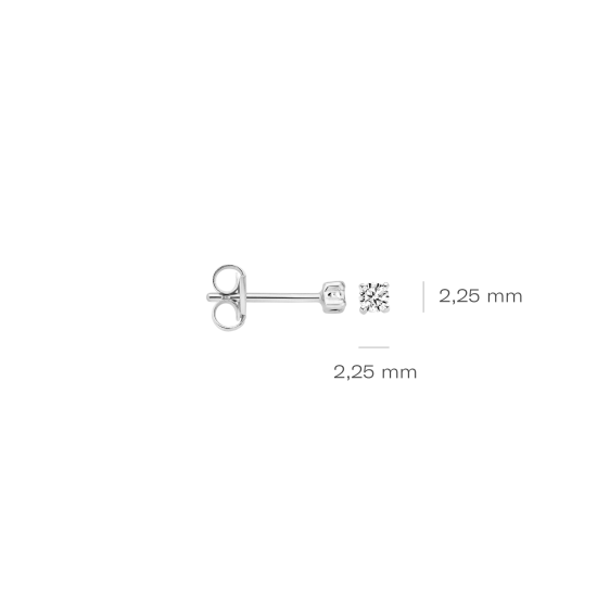 BLUSH 14K WG SOLITAIR OORKNOPPEN MET BRILJANT GESLEPEN ZIRKONIA 7138WZI - 1005077