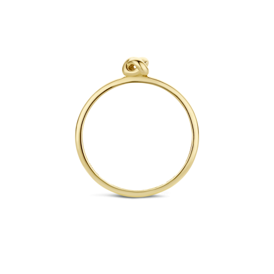 BLUSH 14k GG DRAADRING MET KNOOP - 1005449