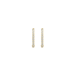 BLUSH 14K GG OORRINGEN MET ZIRKONIA 11.6mm - 1005525