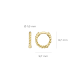 BLUSH 14K GG BOLLETJES CREOLEN 7230YGO - 1005754