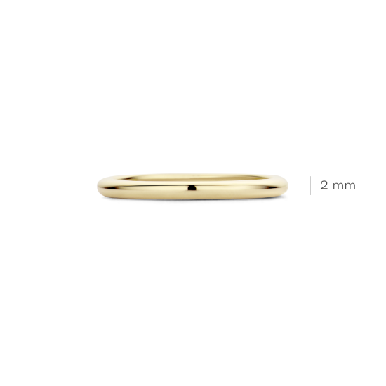 BLUSH 14k GG AANSCHUIFRING GLAD/BOL 2mm 1117RGO/56 - 1005966