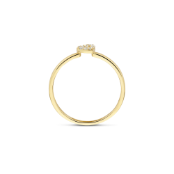 BLUSH 14k GG D.RING MET OPEN ZIRCONIA HARTJE - 1006880