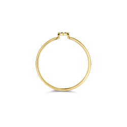 BLUSH 14k GG DRAADRING MET RONDJE ZIRCONIA - 1007061