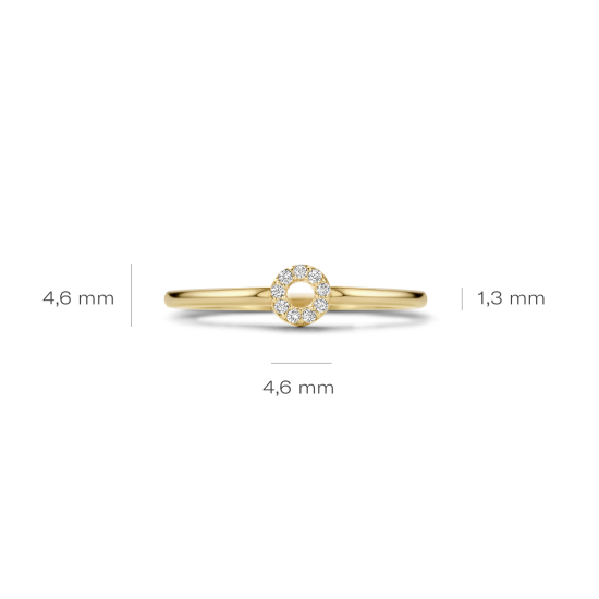 BLUSH 14k GG DRAADRING MET RONDJE ZIRCONIA - 1007194