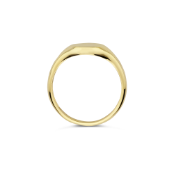 BLUSH 14k GG ZEGEL/PINKRING OVAAL GLAD 1190YGO/48 - 1007284
