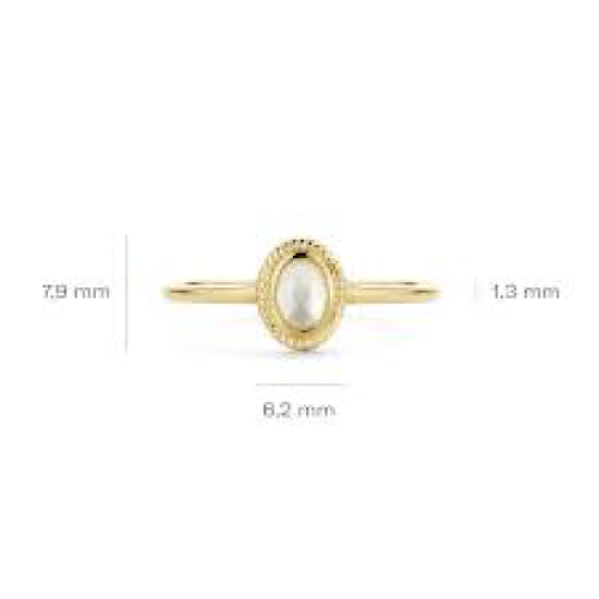 BLUSH 14k GG RING OVALE GEFACC.GELE STEEN GETORSTE ZETRAND - 1007658