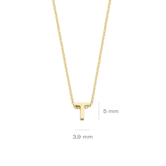 BLUSH 14k GG COLLIER  LETTERHANGER T - 10067154