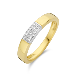 14k BICOLOR D.RING 3RIJ x 6 DIAM.07ct H-SI - 10067702