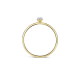 BLUSH 14k GG DRAADRING MET PAVÉ CIRKEL - 10068088