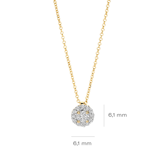 14k GG COLLIER MET ROZETHANGER VAN BRILJANT LG DIAM. 0.22ct W-SI - 10068253