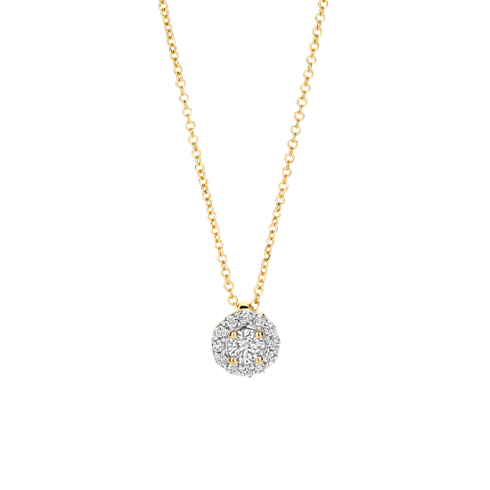 14k GG COLLIER MET ROZETHANGER VAN BRILJANT LG DIAM. 0.22ct W-SI - 10068253