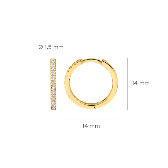 BLUSH 14k GG CREOOLEN 1RIJ ZIRK 2x10mm 7309YZI - 10068886