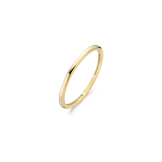 BLUSH 14k GG GLADDE AANSCHUIFRING 4kante BUIS - 10068897