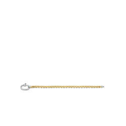 TI SENTO JASSERON SCHAKEL ARMBAND VERGULD - 2950ZY - 10069003