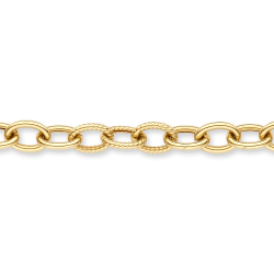 BLUSH 14k GG SCHAKELARMBAND GLAD-GETORST 2255YGO - 10069017