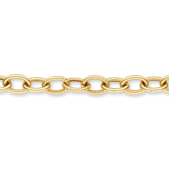 BLUSH 14k GG SCHAKELARMBAND GLAD-GETORST 2255YGO - 10069017