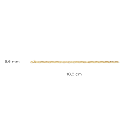 BLUSH 14k GG SCHAKELARMBAND GLAD-GETORST 2255YGO - 10069017