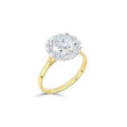14k BICOLOR HALO-ROZETRING MET 0,50ct D-VVS2 CENTER OMRINGT DOOR 12 KLEINERE DIAMANTEN .25ct - 10069170