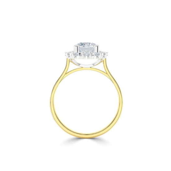 14k BICOLOR HALO-ROZETRING MET 0,50ct D-VVS2 CENTER OMRINGT DOOR 12 KLEINERE DIAMANTEN .25ct - 10069170