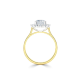 14k BICOLOR HALO-ROZETRING MET 0,50ct D-VVS2 CENTER OMRINGT DOOR 12 KLEINERE DIAMANTEN .25ct - 10069170