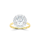 14k BICOLOR HALO-ROZETRING MET 0,50ct D-VVS2 CENTER OMRINGT DOOR 12 KLEINERE DIAMANTEN .25ct - 10069170