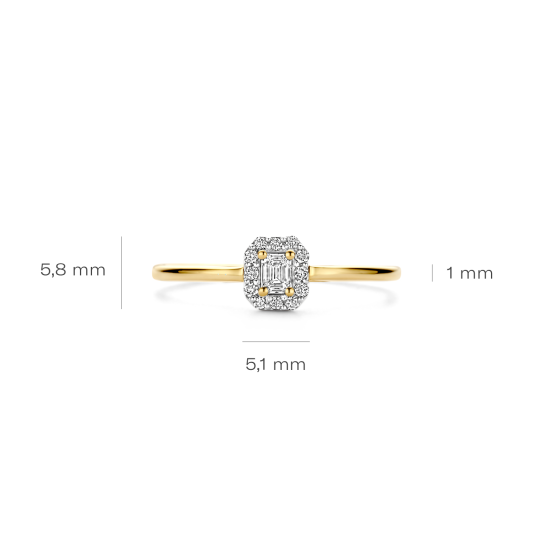 BLUSH 14k GG ROZETRING MET EMERAUDE EN BRILJANT LG DIAM. TOTAAL 0,17ct TW-SI LG1022 - 10069180