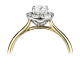 14k BICOLOR HALO-ROZETRING MET 0,16ct H-SI CENTER OMRINGT DOOR 16 KLEINERE DIAMANTEN 0,08ct - 10069195