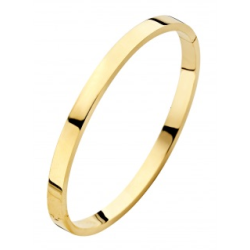 FJORY 8k GOUDEN BANGLE ARMBAND MET ZILVEREN KERN 5mm RECHTHOEKIG PROFIEL 33-A38XX05 - 10069278