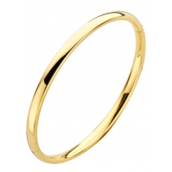 FJORY 8k GOUDEN BANGLE ARMBAND MET ZILVEREN KERN 4mm OVAAL PROFIEL 33-A35XX04 - 10069279