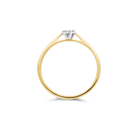 BLUSH 14k BICOLOR ROZETRING DIAM.04ct W-SI 1646BDI/56 - 10069349