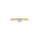 BLUSH 14k BICOLOR ROZETRING DIAM.04ct W-SI 1646BDI/56 - 10069349