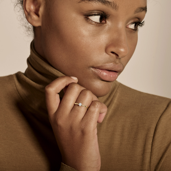 BLUSH 14k BICOLOR ROZETRING DIAM.04ct W-SI 1646BDI/56 - 10069349