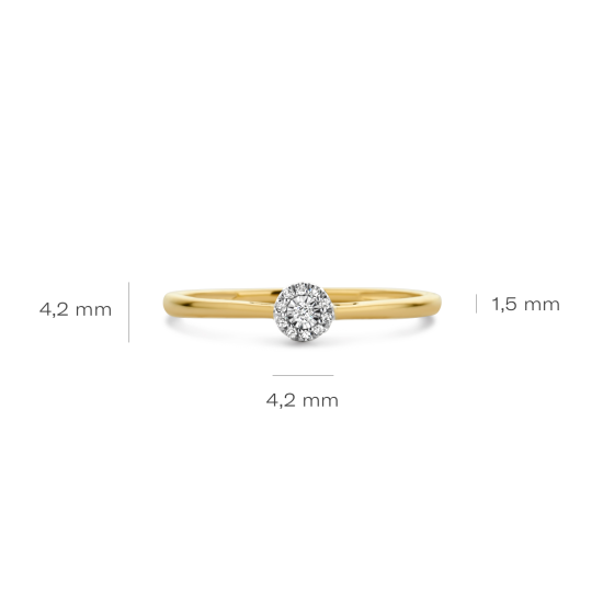 BLUSH 14k BICOLOR ROZETRING DIAM.04ct W-SI 1646BDI/56 - 10069349