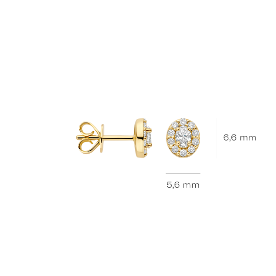 BLUSH 14k GG ROZET OORSTEKERS MET LG DIAMANTEN 0.36ct VS-TW LG7033Y - 10069356
