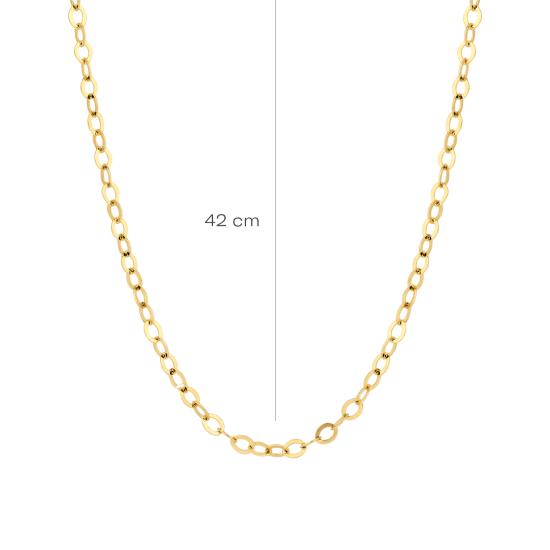 BLUSH 14k GG 2mm RONDE PLAATJES COLLIER 3198YGO - 10069357