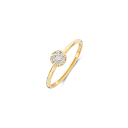 BLUSH 14k GG RING MET ZIRKONIA PAVÉ BEZET CIRKEL EROP - 10069364