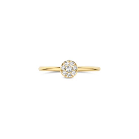 BLUSH 14k GG RING MET ZIRKONIA PAVÉ BEZET CIRKEL EROP - 10069364