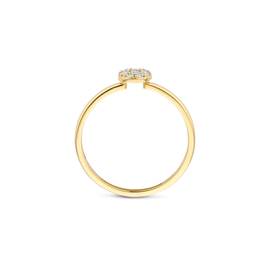 BLUSH 14k GG RING MET ZIRKONIA PAVÉ BEZET CIRKEL EROP - 10069364