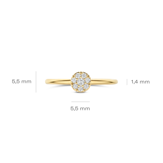 BLUSH 14k GG RING MET ZIRKONIA PAVÉ BEZET CIRKEL EROP - 10069364