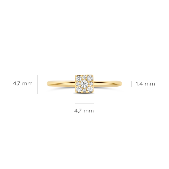 BLUSH 14k GG RING MET ZIRKONIA PAVÉ BEZET 4KANTJE EROP - 10069365