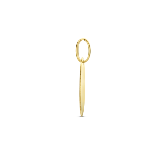 14k GG RONDE GRAVEERHANGER - 10069425