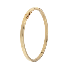 AURA SLAVENBAND-BANGLE 8k GG MET ZILVEREN KERN 4mm RECHTHOEKIG PROFIEL - 10069461