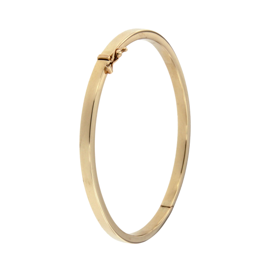 AURA SLAVENBAND-BANGLE 8k GG MET ZILVEREN KERN 4mm RECHTHOEKIG PROFIEL - 10069461