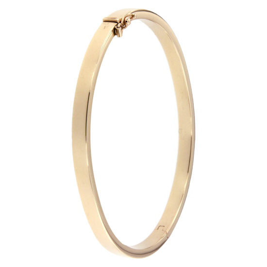 AURA SLAVENBAND-BANGLE 8k GG MET ZILVEREN KERN 5mm RECHTHOEKIG PROFIEL - 10069462