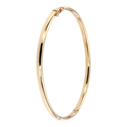 AURA SLAVENBAND-BANGLE 8k GG MET ZILVEREN KERN 5mm OVAAL PROFIEL - 10069463