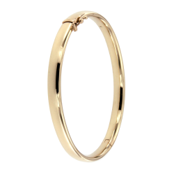 AURA SLAVENBAND-BANGLE 8k GG MET ZILVEREN KERN 6mm OVAAL PROFIEL - 10069465